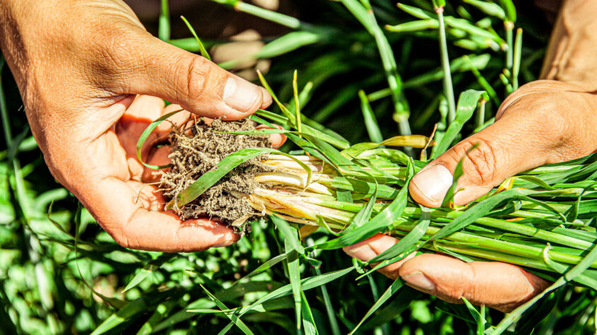 538A06C5-373E-411F-A043-5ACB13D94CC7