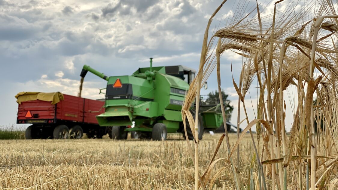 98A270C5-D1A3-4A45-8F6B-B37656D19AD4