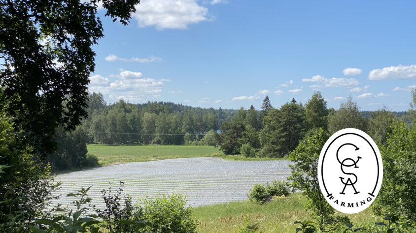 Artikkelikuva, Rekola