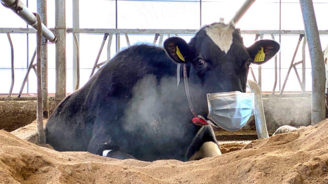 DA570C25-A625-4FD8-A1C2-F2EDE32C212C