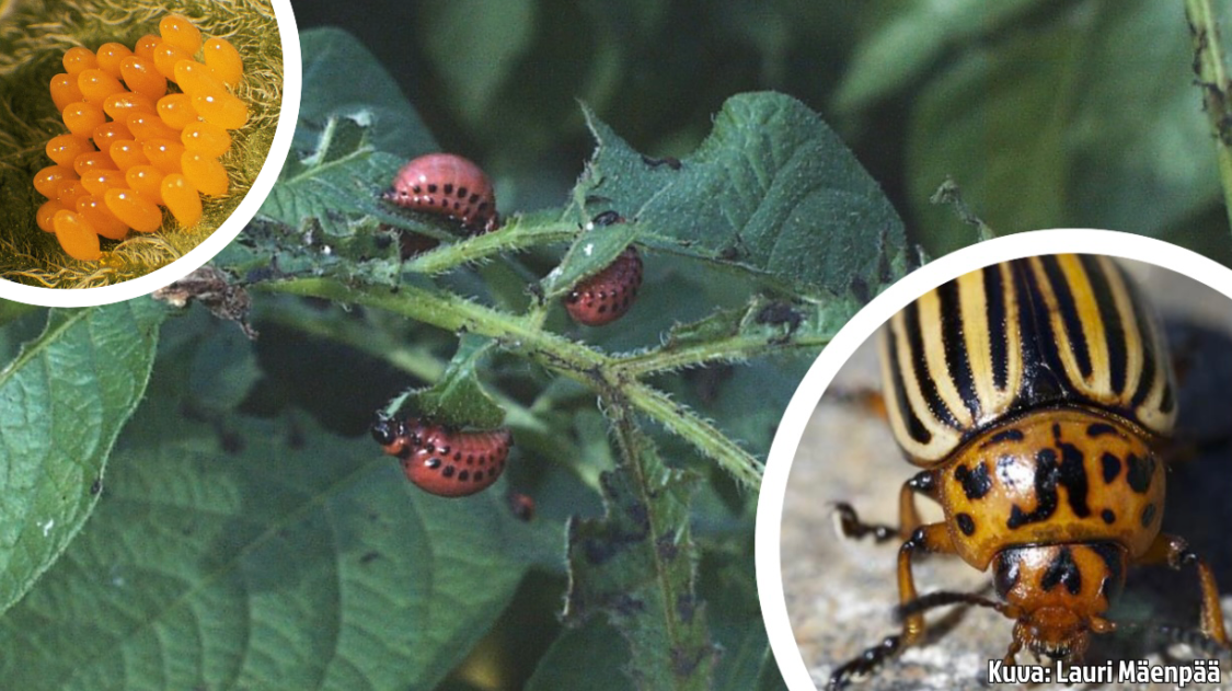 F9BDA71B-037C-4E4B-8B8A-392FDBA4B6BC