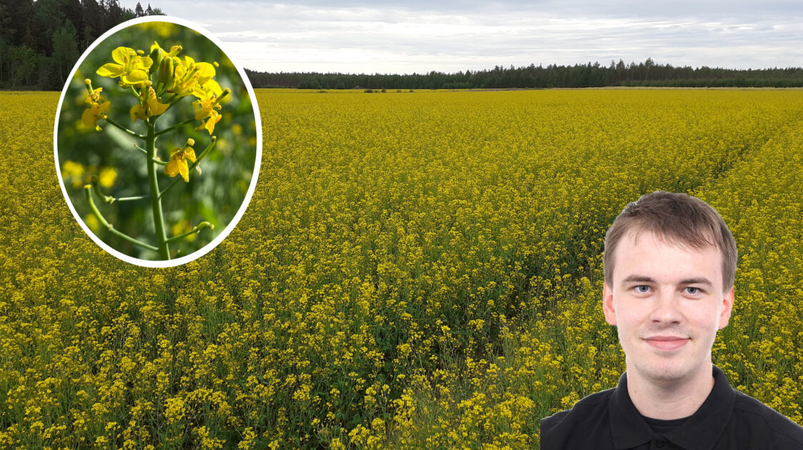 Kiltilä artikkelikuva1