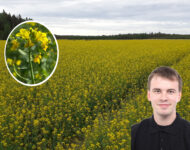 Kiltilä artikkelikuva1