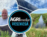 kollaasi