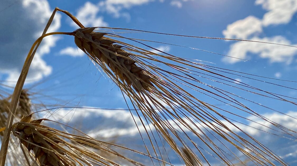 2C27CB68-977D-4662-AA4C-5C7046E3E196