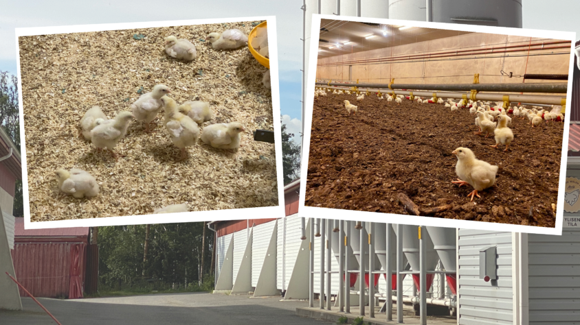 377DAC3F-1E5C-421E-959A-DF74F729BCD5