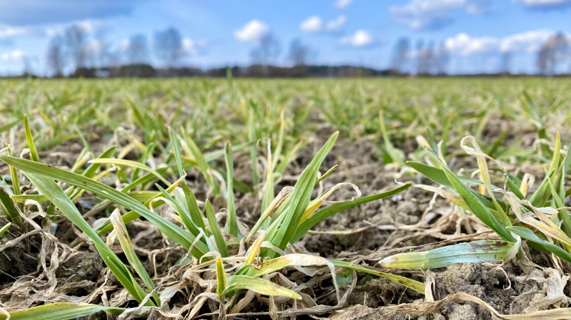 96FF288F-DE19-46EF-A6C8-5E3E5F7F6C28