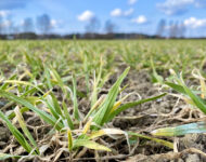 96FF288F-DE19-46EF-A6C8-5E3E5F7F6C28