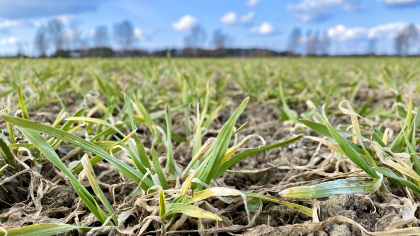 96FF288F-DE19-46EF-A6C8-5E3E5F7F6C28