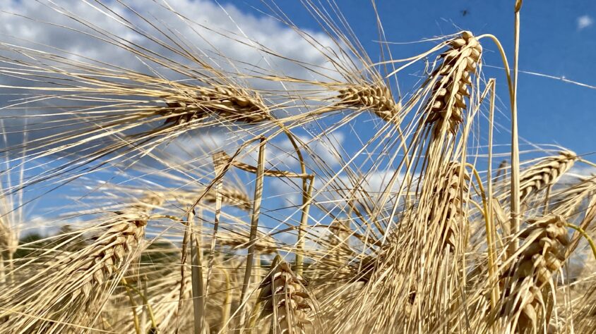 F09BD364-C8A9-4405-8F94-B1B040B2D13D