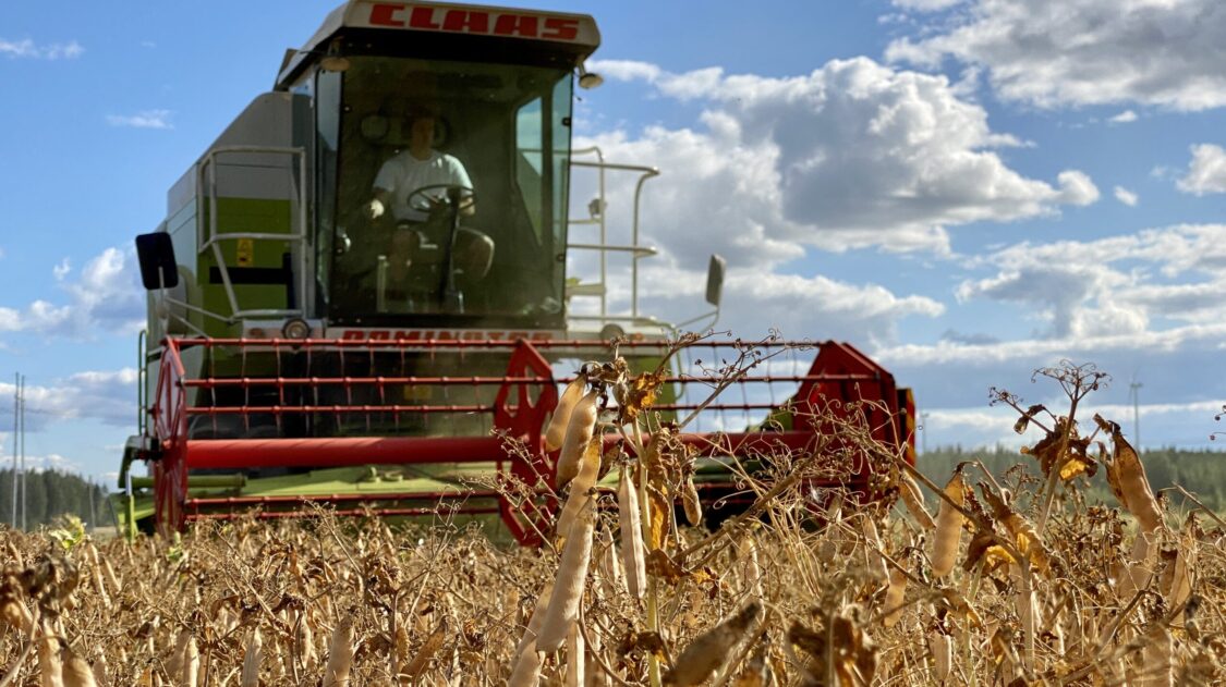 F75C27CC-29E4-457E-808B-5A59293FF702