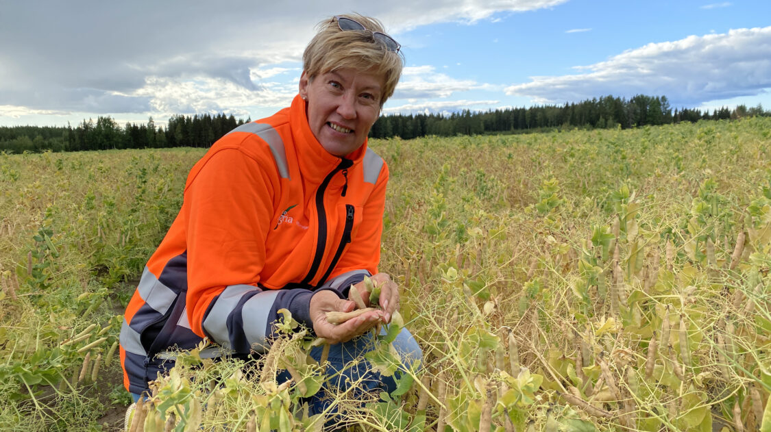 Päivi Koivusalo