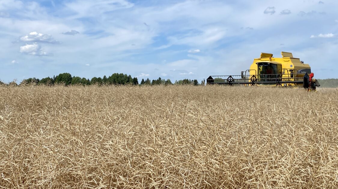 B652B40D-9AEA-4313-9A2B-F9333A6D4852