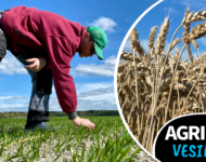 BE83C901-2CBF-4325-A197-6F8F51CB3F51