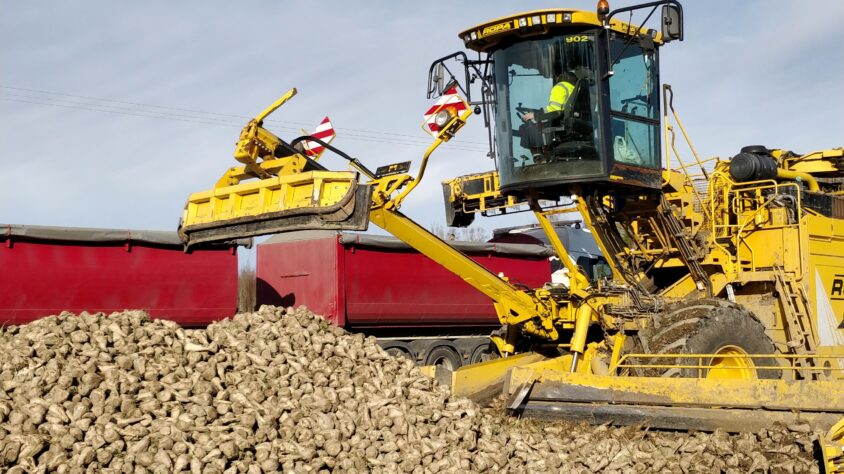 IMG_20201017_163225_185 (1)