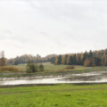 kosteikko1