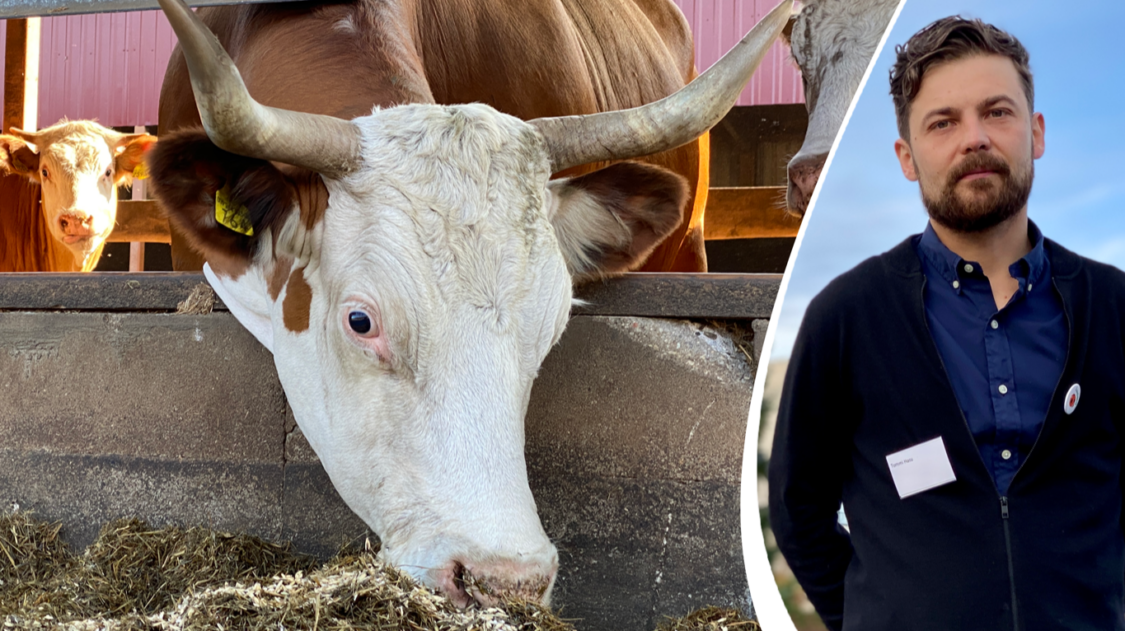 1314F3A1-B8DB-43EA-91A8-A16AF2805040