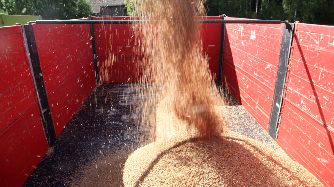 puimurin tyhjennys säiliöön