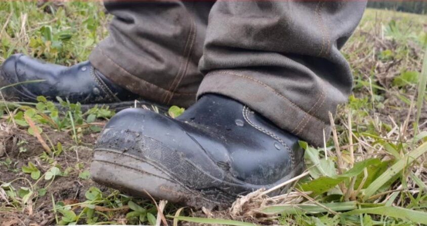 Näyttökuva 2021-12-13 101421