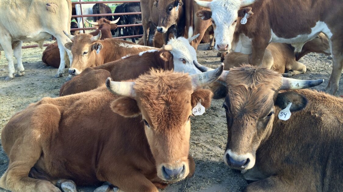 1C7D757F-F3C1-45C2-BA3A-673B645E7820