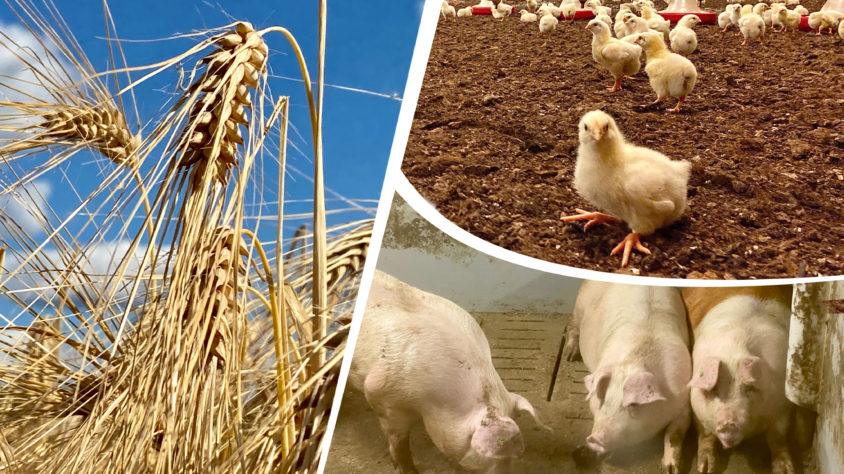 B160A499-D6FE-459A-9D76-218A605DED69