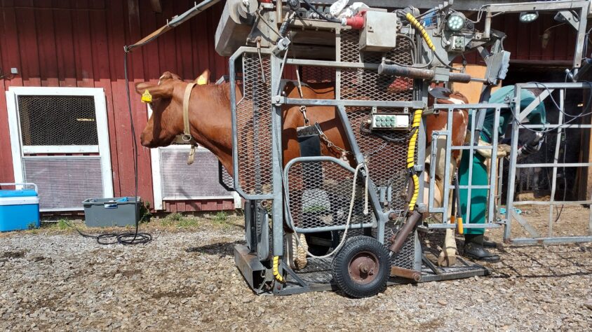 Inked20200608_1510571_LI