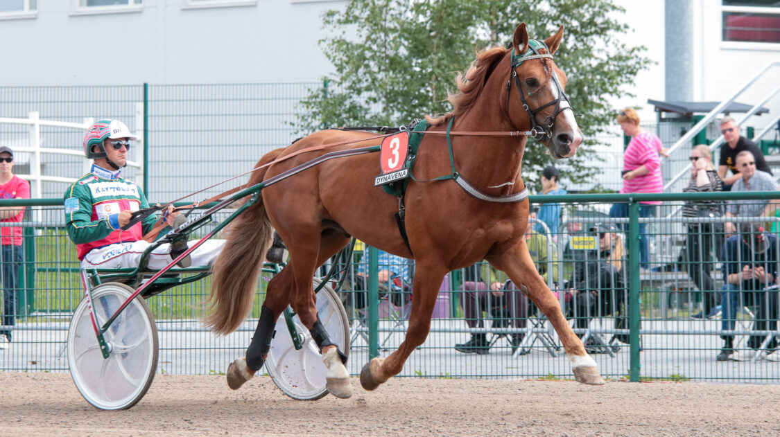 Joriini-kuva Teija Ruuhola
