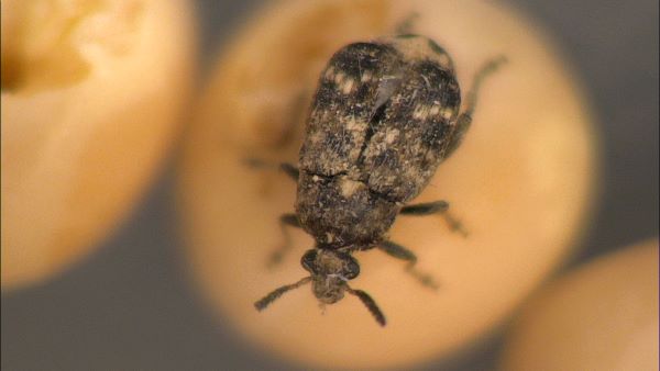 lianapressfile-1644302307918