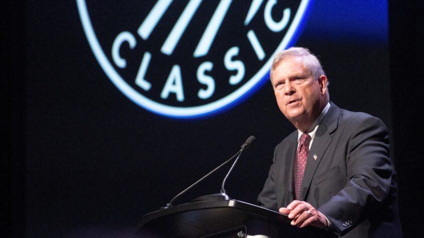 51933019286_2580f4d73b_o