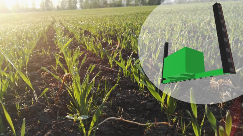 Artikkelikuva rikkasäde1