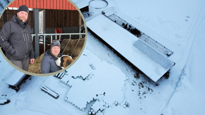 virtalan artikkelikuva