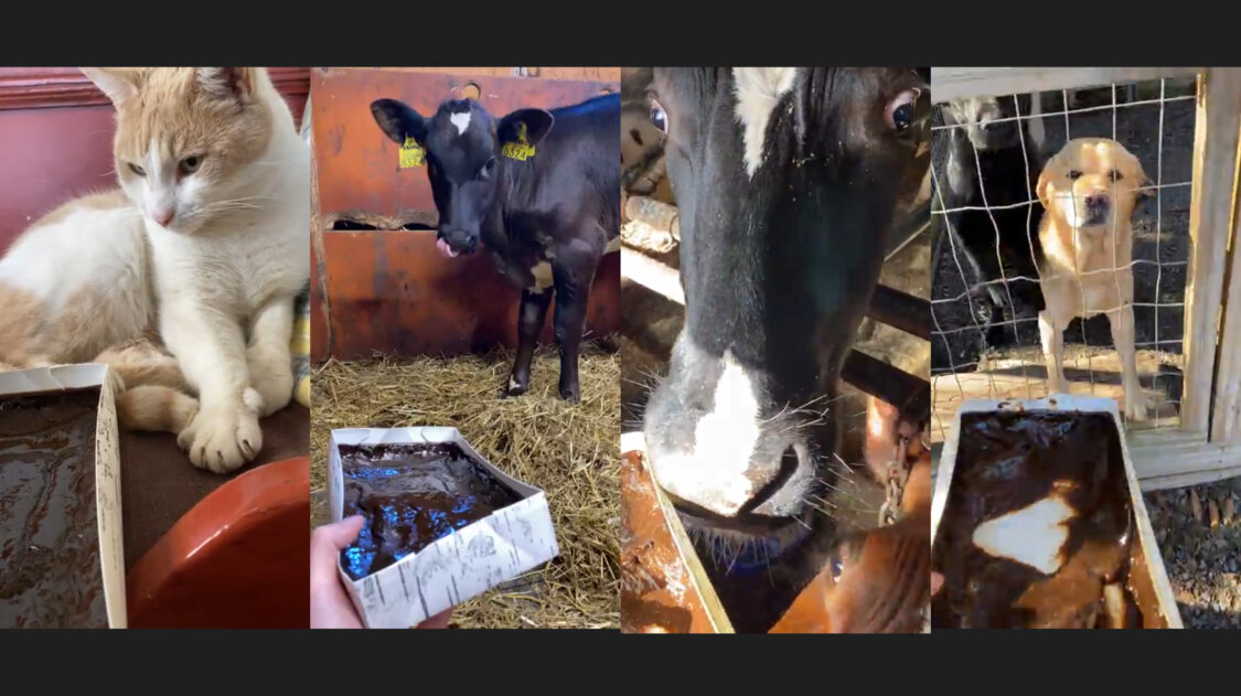 InShot_20220413_100922610