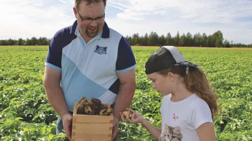 Kai_tytär_perunat_tarkastelussa