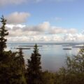koli