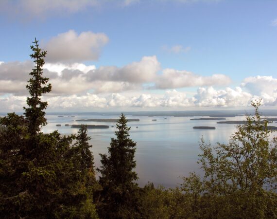 koli