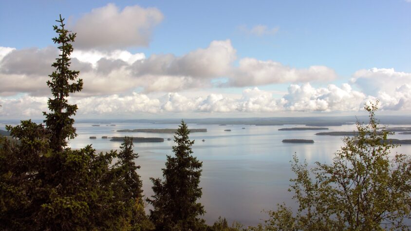 koli