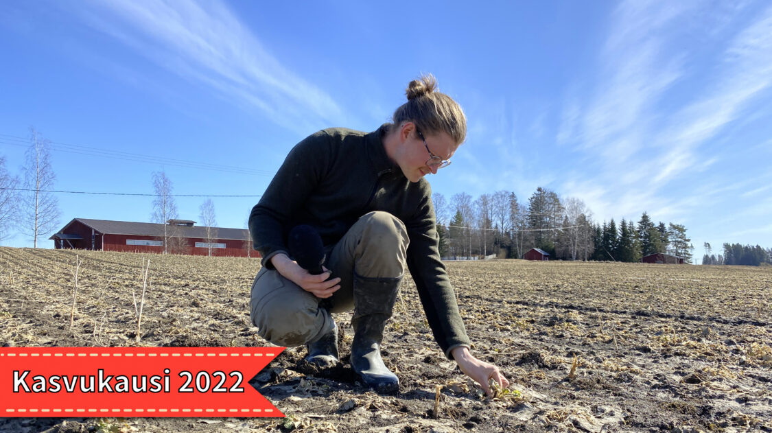 niklasmaisiviirillä2