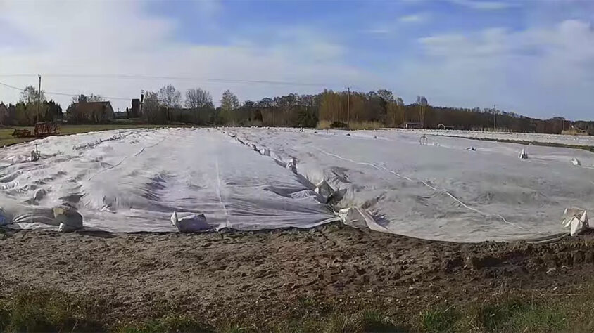 eb939f8d-2293-4950-bc9a-0e73216f8b92