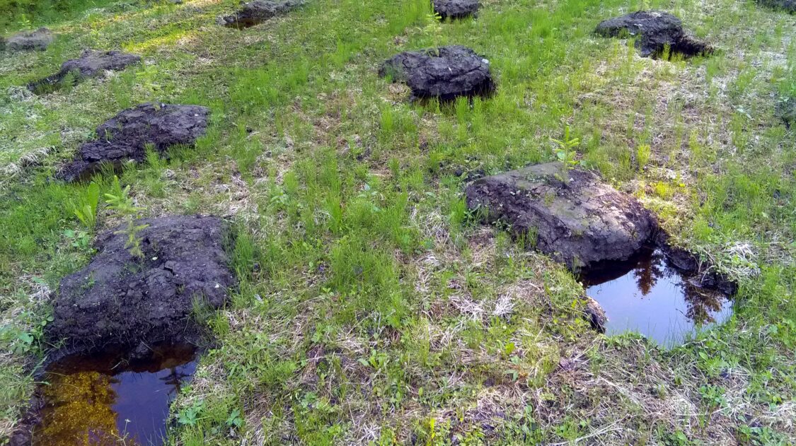 IMG_20170720_1905451