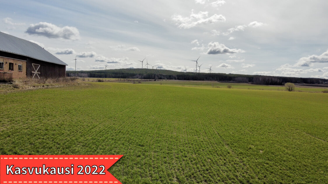 koskenkorvaviirillä