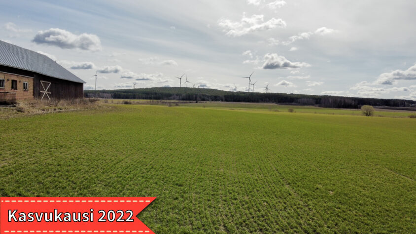 koskenkorvaviirillä