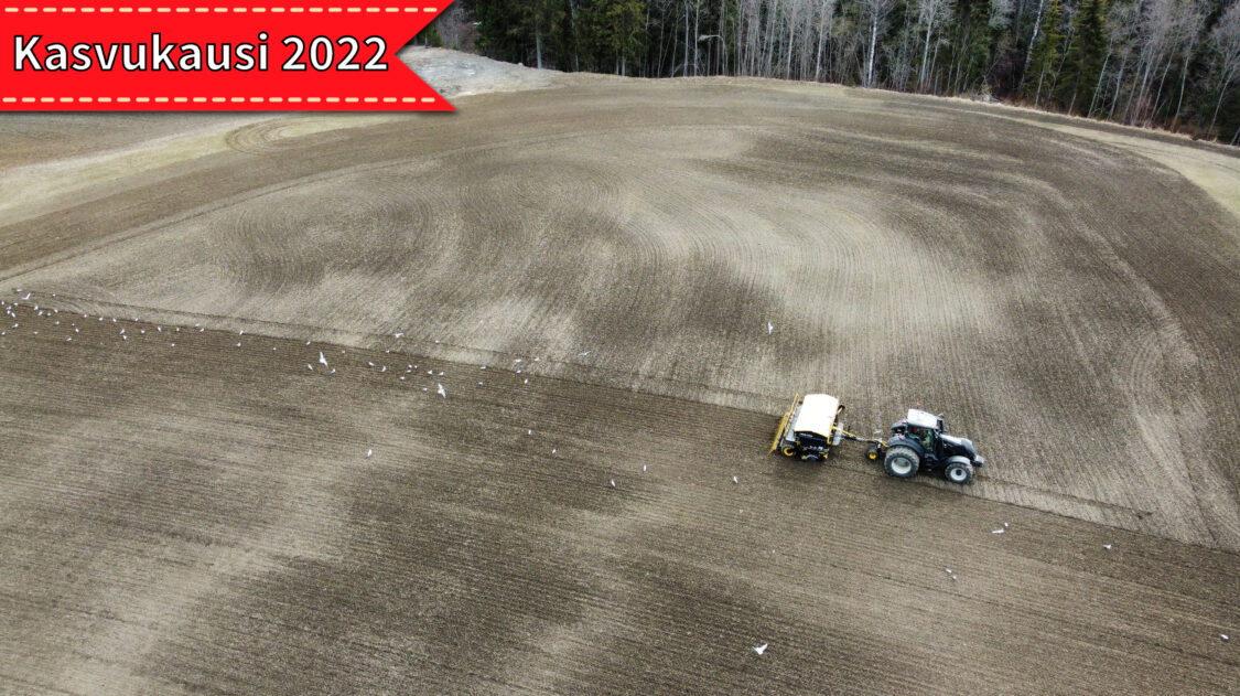 kylvösiuntioviirillä