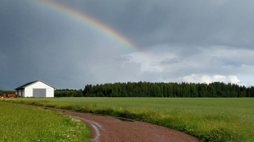 sateenkaari