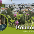 Kolumni_Liisa_2