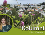 Kolumni_Liisa_2