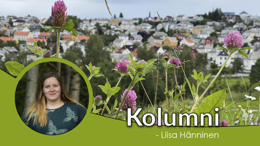 Kolumni_Liisa_2