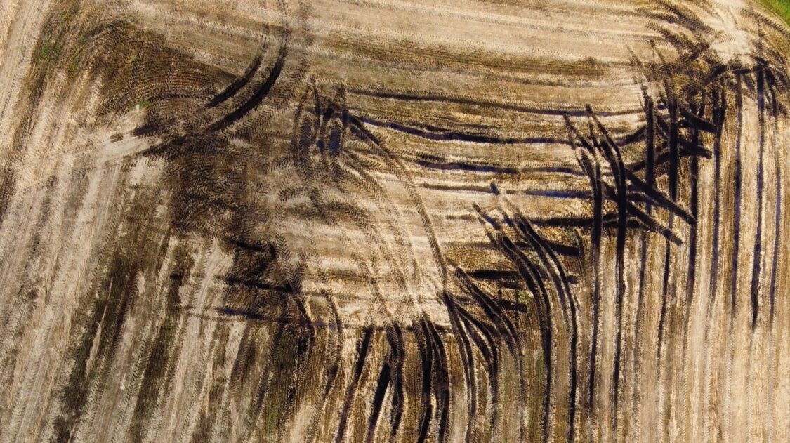 RemoteMediaFile_6553850_0_2022_08_23_19_00_461