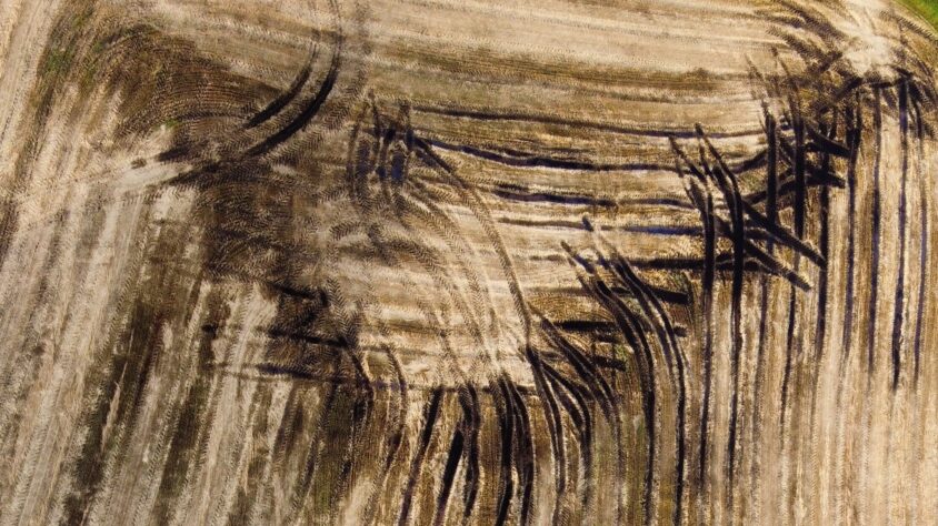 RemoteMediaFile_6553850_0_2022_08_23_19_00_461