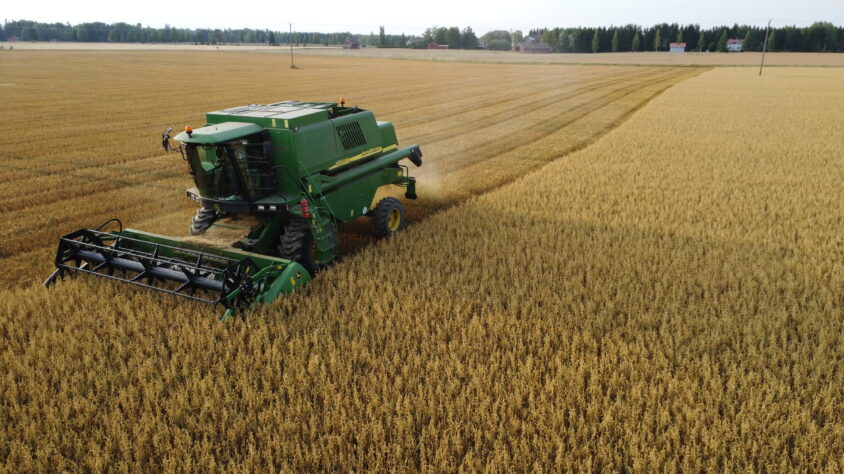 Photo_6553768_DJI_168_jpg_4198206_0_2022819193048_photo_original