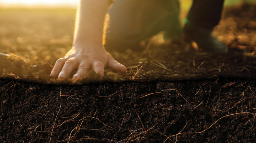 Agreena_lanseerauskuva_1600x900px (002)